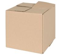 Vidaxl Boîte Pliante 50 Pcs 20x20x20 Cm Carton