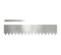 vidaXL Bordure de Pelouse 10 pcs Argent 100 x 0.05 x 20 cm, Idées pour Jardin et terrasse, Bordure Moderne, séparateur extérieur, Bord de Chemin, éléments pour jardiner