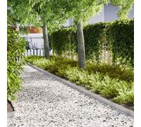 Vidaxl Bordures De Jardin 20 Pcs 100x0,5x15 Cm Acier Inoxydable