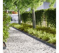 Vidaxl Bordures De Jardin 20 Pcs Anthracite 100x0,5x15 Cm Acier