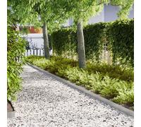 Vidaxl Bordures De Jardin 30 Pcs 100x0,5x15 Cm Acier Galvanisé