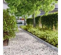 vidaXL Bordures de pelouse 10 pcs 10x103 cm acier galvanisé, bordure de jardin, bordure de lit de jardin, bordure de paysage 860135 Or