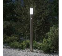 vidaXL Borne lumineuse avec détecteur 110 cm en acier inoxydable IP44 4006009