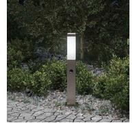 vidaXL Borne lumineuse avec détecteur 50 cm en acier inoxydable IP44 4006053