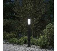 vidaXL Borne lumineuse avec sortie 80 cm en acier inoxydable IP44 4006037