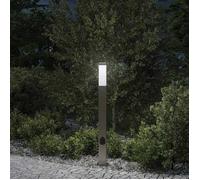 vidaXL Borne Lumineuse avec Sortie 80 cm en Acier Inoxydable IP44
