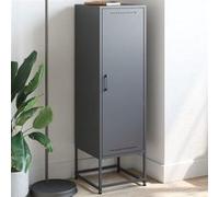 vidaXL Buffet haut anthracite en acier 36x39x123 cm