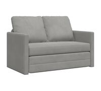 vidaXL Canapé-Lit 2 en 1, Lit de Jour avec Coussins, Lit d'Invité Pliant, Meuble de Salon Salle de Séjour Intérieur, Moderne, Gris Clair Velours