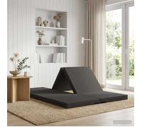 vidaXL Canapé-lit pliable 140 x 67 x 15 cm Gris foncé 900269