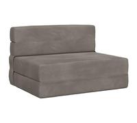 vidaXL Canapé-lit pliable Gris clair 100 x 80 x 60 cm Tissu, Canapé-lit ajustable, canapé rectangulaire convertible, meuble gain de place pour salon, chambre