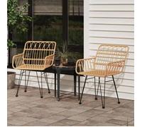 vidaXL Chaises de jardin 2 pcs. avec accoudoirs 56x64x80 cm rotin PE