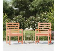 vidaXL Chaises de jardin 2 pcs. 60x48x91 cm bois massif douglas