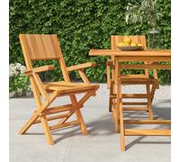 vidaXL Chaises de jardin pliantes lot de 2
