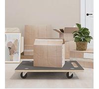 vidaXL Chariots de Transport Rectangulaire 2 pcs, Chariots de Déménagement pour Meuble, Chariots à Plateforme avec Roues, 80x55x11,5 cm 250 kg
