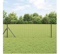vidaXL Clôture Euro Gris 0,4 x 25 m Fer revêtu de PVC 42004546