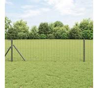 vidaXL Clôture Euro Gris 0,8 x 25 m Fer revêtu de PVC