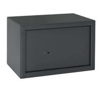 vidaXL Coffre-fort avec verrouillage Gris foncé 31 x 20 x 20 cm Acier