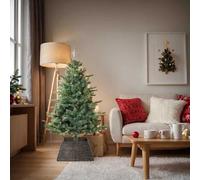vidaXL Collier de sapin de Noël Noir 60 x 60 x 28 cm Jacinthe d'eau