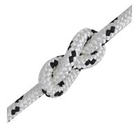 vidaXL Corde à tresser pour bateaux polyester 8 mm 250 m blanc