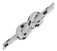vidaXL Corde à tresser pour bateaux polyester 8 mm 500 m blanc