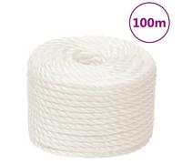 vidaXL Corde de travail Blanc 20 mm 100 m