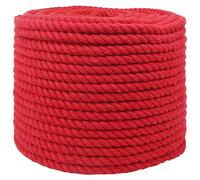 vidaXL Corde rouge 1 x 1 x 10 000 cm en coton