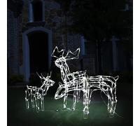 vidaXL Cordon lumineux Rennes 229 LED