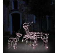 vidaXL Cordon lumineux Rennes 229 LED blanc chaud