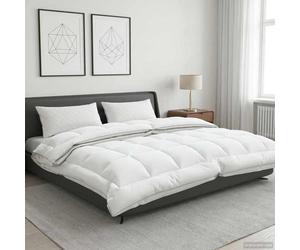 vidaXL Couette TRIER 240x260cm 4 saisons 140+220GSM Blanc 42042845