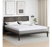 Vidaxl Coussins De Matelas Blanc 200 X 200 Cm