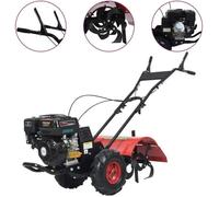 vidaXL Fraiseuse de jardin à essence 6,5 CV 196 cm³