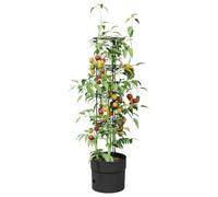 vidaXL Cultivateur de Tomates Noir Ø 32 x 127 cm PP, Jardinière Moderne, résistant aux UV et aux intempéries, Design Compact pour Petits espaces, Jardin Vertical intérieur/extérieur