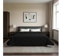 vidaXL Duvet complet toute l'année Matelassé Noir 200 x 200 cm 42026256
