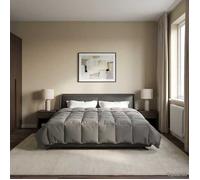 vidaXL Duvet d'hiver 200 x 220 cm Hiver Microfibre (100% polyester) 42026093