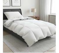 vidaXL Ensemble de couette 90 % en duvet d’oie FULDA 2 pc 150 x 200 cm 3442266