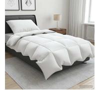 vidaXL Ensemble de couette 90 % en duvet d’oie FULDA 2 pc 152 x 203 cm 3442189
