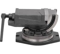 vidaXL Étau à 2 axes Inclinable 100 mm