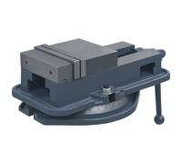 VIDAXL Étau à table tournante 160 mm
