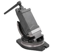 vidaXL Étau inclinable - 2 axes - 100 mm - Gris