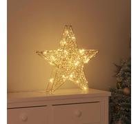 vidaXL Étoile en 3D avec 50 LED Blanc chaud 55 x 52.5 x 9 cm PET
