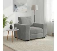 vidaXL Fauteuil Gris Clair 100x77x82 cm Velours, canapé Simple, canapé Confort, Fauteuil TV, canapé, siège de canapé, canapé Relax, Fauteuil de Loisirs