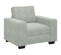 vidaXL Fauteuil Gris Clair 100x77x82 cm Velours, canapé Simple, canapé Confort, Fauteuil TV, canapé, siège de canapé, canapé Relax, Fauteuil de Loisirs