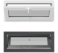 vidaXL Fenêtre pour cave RISOR, 100 x 40 cm, PVC et verre