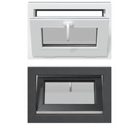 vidaXL Fenêtre pour cave RISOR, 60 x 40 cm, PVC et verre