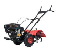 vidaXL Fraiseuse de jardin à essence 6,5 CV 196 cm³