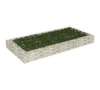 Gabion plantenbak verhoogd 200x100x20 cm gegalvaniseerd staal151312