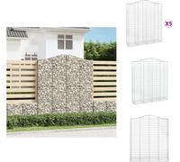 vidaXL Gabions avec arc surélevé 5 pcs. 200x50x220/240cm Fer galvanisé - Pots de fleurs & Jardinières