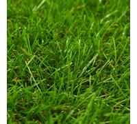 Vidaxl Gazon Artificiel 1x15 M/30 Mm Vert