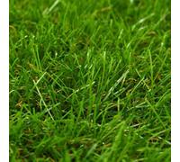 Vidaxl Gazon Artificiel 1x15 M/40 Mm Vert