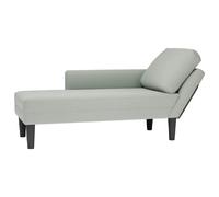 vidaXL Fauteuil long et coussin et accoudoir droit gris clair velours